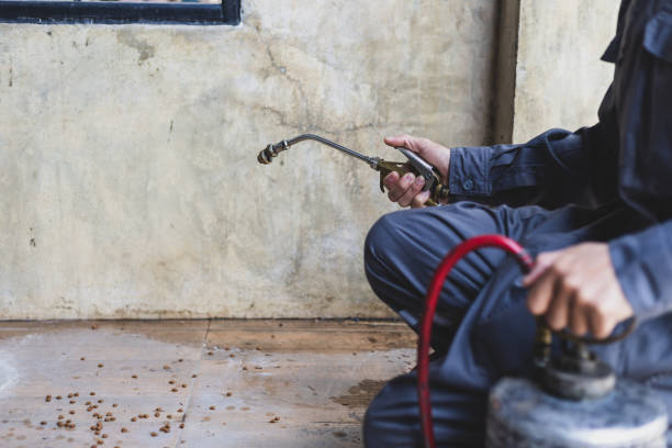 Best Pest Control Near Me in Corona De Tucson, AZ